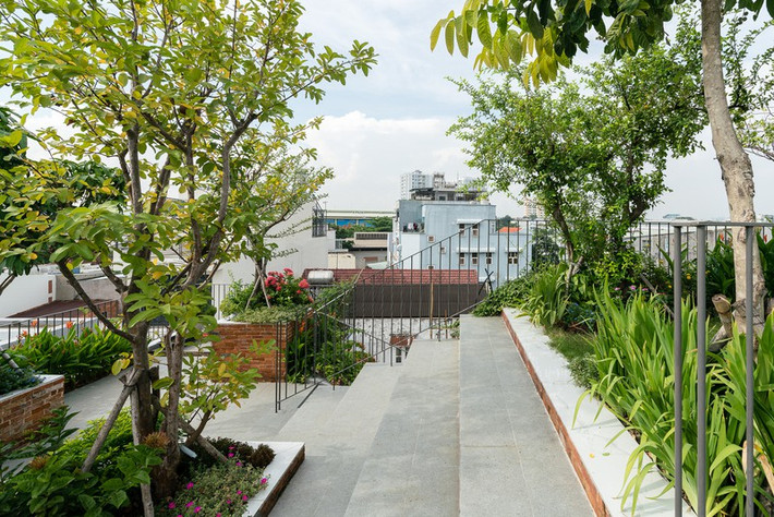 Vườn trên sân thượng cũng có lan can để chia các khu vực trồng cây.