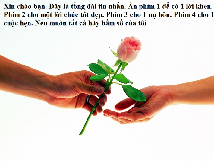 Với những bạn trẻ vui tính, hãy cất giấu trong lời chúc trong ngày lễ tình nhân của mình những nụ cười dí dỏm.
