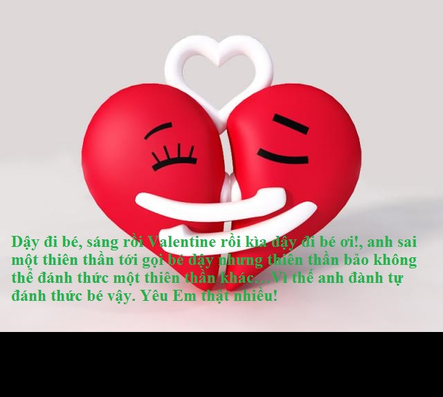 Ngày 14/2 là ngày lễ tình nhân, là dịp để các đôi đang yêu nhau thể hiện tình cảm của mình, các bạn nam thường mua hoa, những lời chúc Valentine cho người yêu và những món quà tặng bạn gái...
