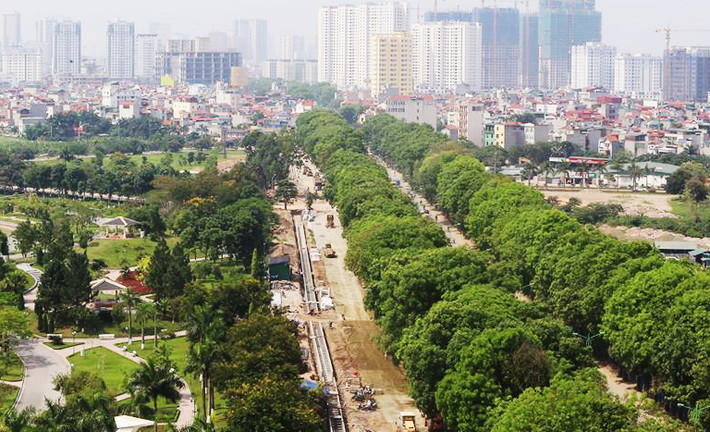 Trong số hơn 1.300 cây xanh dọc hai bên đường Phạm Văn Đồng (Hà Nội), thì số cây bị chặt hạ là hơn 1.000, số cây được di chuyển là 158 cây, giữ lại cắt tỉa 142 cây.