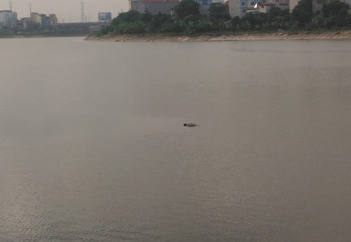 Sáng 16/7, nhiều người dân đi tập thể dục xung quanh hồ Linh Đàm (Hoàng Liệt, Hoàng Mai, Hà Nội) bàng hoàng phát hiện thi thể của một người đàn ông nổi lềnh bềnh trên mặt nước (phía gần đường Nguyễn Hữu Thọ).