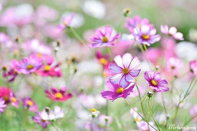 Phải bước qua chông gai, thử thách đến độ tuổi trung niên, người sinh ngày 9 Âm lịch sẽ được chuyển vận. Đến độ tuổi 40, người sinh ngày này sẽ gặp được quý nhân, cơ hội nhiều, tiền bạc rủng rỉnh, không thoát khỏi cuộc sống giàu sang. (Thông tin mang tính chiêm nghiệm).