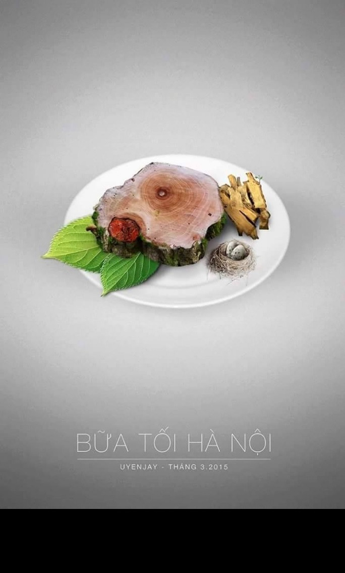 Dù lãnh đạo thành phố đã giải thích rằng, việc chặt cây là để thay cây mới tốt hơn, đẹp và an toàn hơn, nhưng cư dân mạng vẫn lo lắng, tiếc và buồn.
