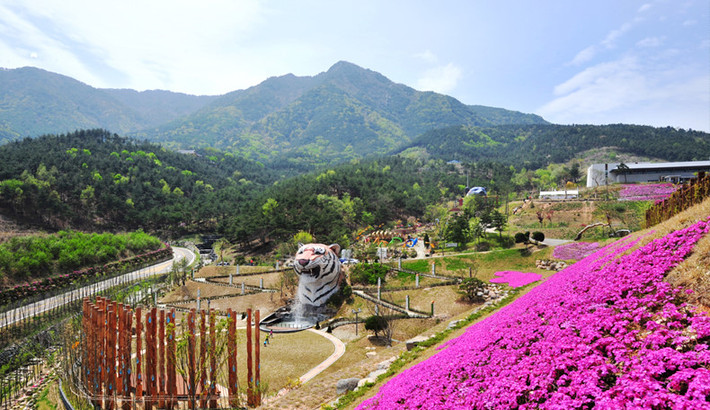Làng Dongguibogam: Đây là ngôi làng nổi tiếng với những cây dược liệu quý được dùng trong Đông y. Tại đây, du khách sẽ được ghé thăm Bảo tàng Đông y đầu tiên của Hàn Quốc. Hàng năm, nơi đây còn có Lễ hội y học cổ truyền thu hút rất đông du khách nước ngoài và người Hàn Quốc. Khi tham gia lễ hội này, bạn sẽ được trải nghiệm các phương pháp điều trị bằng Đông y, tìm hiểu về các cây thảo dược. Ảnh: Sancheong.