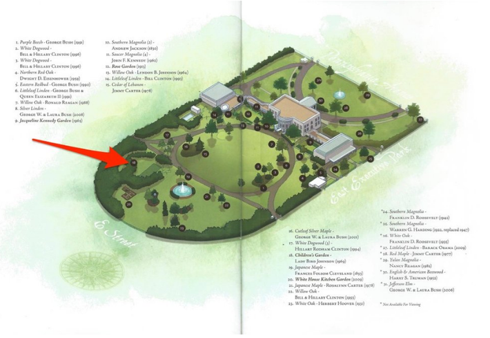 Phía Nam The South Lawn, đằng sau rặng cây là một “khu vườn bí mật” được gọi là Vườn trẻ em, khá yên lặng so với những ồn ào bao quanh Nhà Trắng.