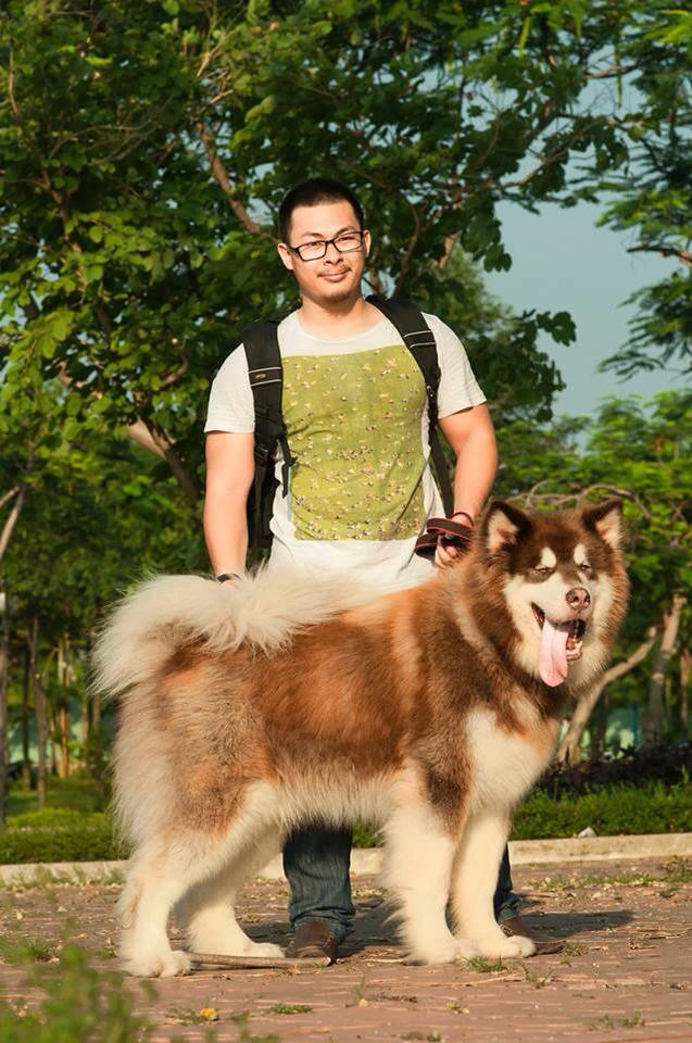 Được biết A Ngưu là một chú chó to lớn nhưng rất hiền lành, ngoan ngãn, biết nghe lời. Chị Diễm kể rằng A Ngưu không bao giờ để người lạ dắt đi, hiểu được một vài câu nói của chủ nhân và đặc biệt biết canh giờ để đón đợi anh Thiện mỗi buổi chiều tối đi làm về.