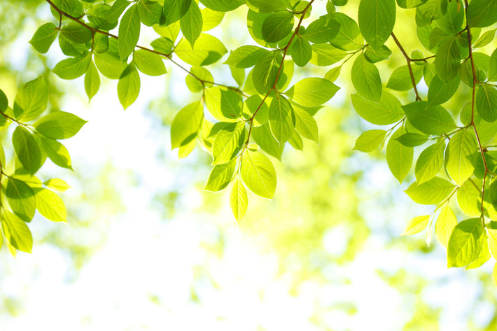 Những đứa trẻ sinh vào hai ngày Âm lịch này rất vượng vận quý nhân, thường được quý nhân phù trợ, được cao nhân chỉ bảo trong sự nghiệp sau này. Nhờ đó, những đứa trẻ sinh vào 2 ngày Âm lịch này khi trưởng thành sẽ như cá gặp nước, cả đời sung túc, viên mãn!