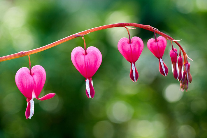 Đứa trẻ sinh vào ngày Âm lịch này được các sao may mắn che chở, gia đình nhờ đó cũng sẽ làm ăn thịnh vượng.