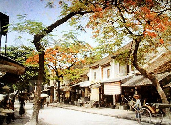 Được Viện Bảo tàng Albert Kahn (Pháp) cử sang Việt Nam chụp lại cuộc sống của người dân Bắc Kỳ từ năm 1914 tới năm 1917, nhiếp ảnh gia Leon Busy đã giữ lại hình ảnh một Hà Nội xưa thật quý qua hơn 1 ngàn bức ảnh. Đây cũng được coi là những bức ảnh màu đầu tiên về Hà Nội. Trong ảnh là phố Hàng Thiếc vắng vẻ với hàng phượng vĩ đang trổ hoa.