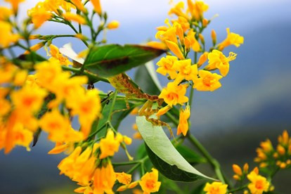 Họ luôn khao khát tạo ra được những bước đột phá trong cuộc sống, không ngại áp lực, khó khăn. Nếu có một người như họ trong đội, cả đội sẽ được thúc đẩy để phát triển một cách tích cực.