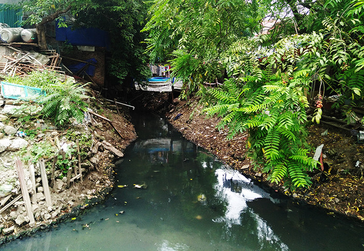 Chung số phận với hai mương nước trên, dòng mương Đại Yên (Hà Nội) cũng bị ô nhiễm nặng, nước thải đen ngòm, bốc mùi nồng nặc, ruồi muỗi sinh sôi phát triển nhiều năm nhưng đến nay hàng chục hộ dân hai bên vẫn phải “nín thở” sống chung, chờ đợi các cơ quan chức năng triển khai thực hiện dự án thoát nước.