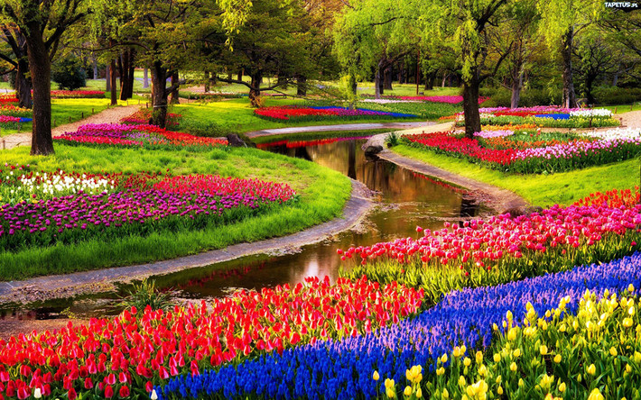 Công viên Keukenhof, Lisse, Hà Lan: Còn được gọi là "khu vườn của châu Âu", công viên Keukenhof có tổng diện tích khoảng 32 ha và là một trong những vườn hoa lớn nhất thế giới, mở cửa từ giữa tháng 3 đến giữa tháng 5. Mỗi năm, công viên là nơi khoe sắc của 7 triệu bông hoa tulip với 800 loại khác nhau, tạo nên những thảm hoa rực rỡ sắc màu giữa mùa xuân. Ảnh: Globetellers.