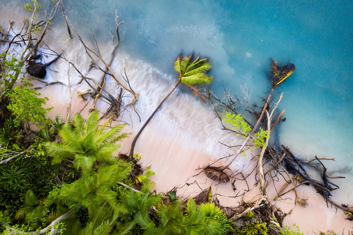 Trong khi đó tại hòn đảo Tuvalu ở Thái Bình Dương, nằm ở khoảng giữa quần đảo Hawaii và Australia, có thể nhận thấy rõ rệt tình trạng nước biển dâng lên khi những cây dừa ở bờ biển đổ sập vì sóng kéo các lớp cát xuống biển. Ảnh: Sean Gallagher.