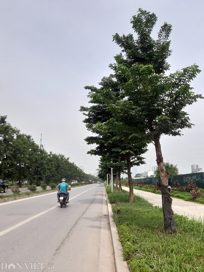 Hà Nội đã giao 70 ha đất cho Tasco để thực hiện đối ứng dự án gồm 30 ha đất tại dự án Đơn vị số 1 phường Xuân Phương, 3.000 m2 đất tại 48 Trần Duy Hưng (quận Cầu Giấy) và 38 ha đất tại phường Xuân Phương (nay là dự án Xuân Phương Foresa Villa).