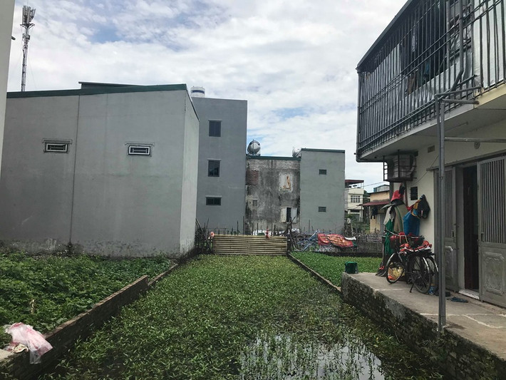 Những ngôi nhà mới xây kiên cố nằm xen lẫn với ruộng rau đã được phân lô.
