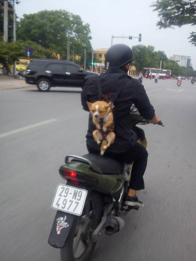"Theo anh đi khắp nẻo đường".