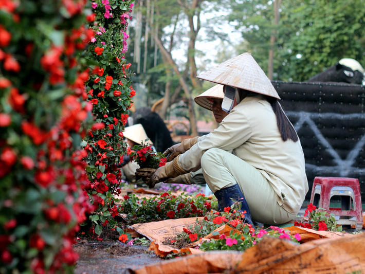 Công nhân nhanh tay làm việc để kịp thời gian hoàn thành hình tượng các con vật khổng lồ.