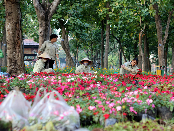 Những bông hoa tươi với đủ màu sắc rực rỡ được lựa chọn để tạo hình cho các con vật khổng lồ.