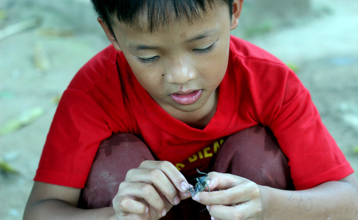 "Bố mẹ em đi làm đồng hết rồi, em cũng chả được quà gì đâu. Tết thiếu nhi em rất muốn được lên nội thành Hà Nội đi chơi vườn thú, xem các con vật", em Nguyễn Duy Tú (học lớp 4, Quốc Oai, Hà Nội) chia sẻ.