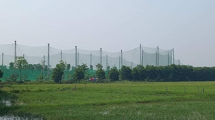 Sáng ngày 12/9/2022, UBND tỉnh Nghệ An đã có công văn hỏa tốc chưa xem xét chấp thuận về việc điều chỉnh chủ trương đầu tư dự án nuôi cá rô phi Israel công nghệ cao. (Ảnh: Công Lý).