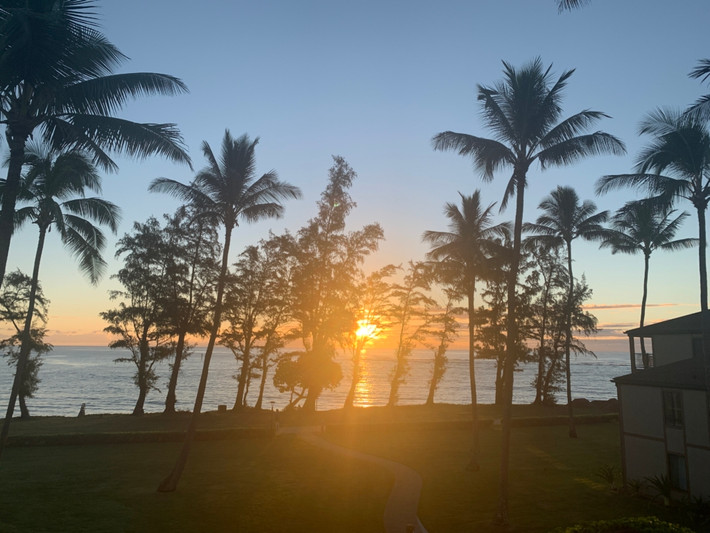 Dù cuộc sống chịu không ít phiền toái từ những con gà hoang, nhưng người dân Kauai học cách chung sống hòa thuận với chúng. Thực tế, đàn gà hoang khổng lồ cũng đem lại một số lợi ích, trong đó có thu hút khách du lịch.