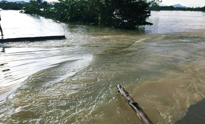 Theo ông Lê Trung Hà, đoạn đê sông Bùi 2 bị vỡ nằm cách khu dân cư thuộc xã Hoàng Văn Thụ 1km. Tiếp nhận sự việc, từ sáng sớm, lãnh đạo UBND TP Hà Nội, lãnh đạo huyện Chương Mỹ và địa phương đã về tận hiện trường chỉ đạo khắc phục sự cố.