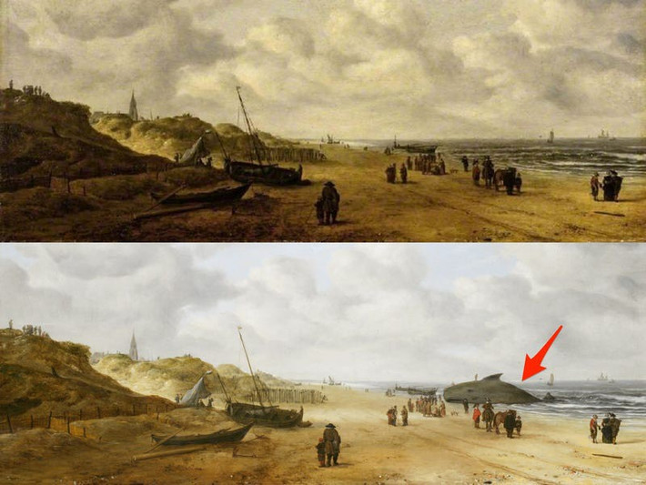 Khi bức tranh "Scheveningen Sands" được vẽ vào những năm 1600, nó cho thấy nhóm người đang tụ tập trên bờ biển quanh 1 con cá voi. Tuy nhiên, sau đó, con vật này đã bị sơn đè lên, để lại 1 nhóm người tập trung quanh một thứ gì đó vô hình. Sau này, các nhà phục chế tranh đã phát hiện ra cái gì đó giống như 1 người lơ lửng trên không trung nhưng thực ra đó là vây của con cá voi. Nhận định về nguyên nhân con cá voi bị sơn đè lên, nhà phục chế Shan Kuang cho rằng việc miêu tả một con vật đã chết trong các bức tranh bị coi là điều không tốt vào thế kỷ 18 và đầu thế kỷ 19.