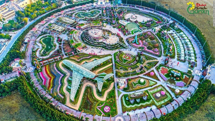 Vườn hoa Dubai Miracle Gardens có hơn 4 km lối đi, bao quanh là những lùm hoa rực rỡ sắc màu.