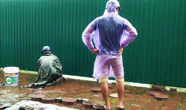 Theo chia sẻ của những người này, cá ở đây rất sạch, chủ yếu là cá rô phi, cá diếc nhỏ. Nếu mưa lớn là cá theo nước chảy từ phía trong bơi ra vỉa hè rất nhiều.