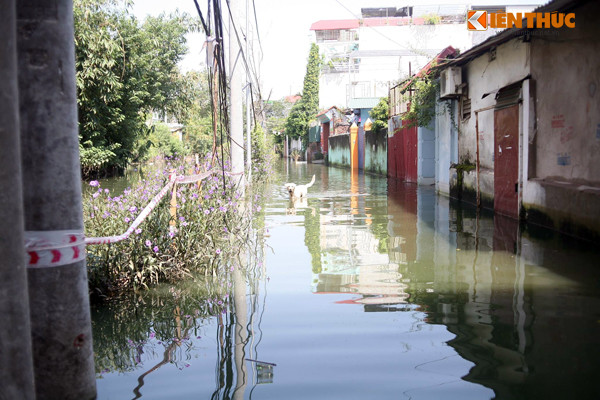 Nước ngập sâu vào tận các ngõ, hẻm ở cụm 5, tổ 36 phường Tứ Liên.
