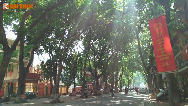 Băng rôn trang trí họa tiết hoa sen cùng với hình ảnh Quốc huy Việt Nam trên phố Phan Đình Phùng.