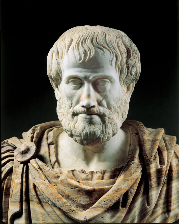 Aristotle ( 384 – 322 TCN ): Là một nhà triết học gia người Hy Lạp, ông vốn là học trò của Plato, được biết đến với rất nhiều nghiên cứu nổi tiếng trong các lĩnh vực như: logic, vật lý, sinh học, chính trị, văn học và nghệ thuật. Ông là người đặt nền móng cho triết học phương Tây. Không quá khi nói rằng ông là hình ảnh thu nhỏ của cả nhân loại. Kiến thức mà ông nắm giữ gần như trải dài trên tất cả các lĩnh vực của đời sống xã hội. Người xưa có câu: chỉ một lời răn dạy của Aristotle có thể làm thay đổi cuộc đời của một người bình thường.