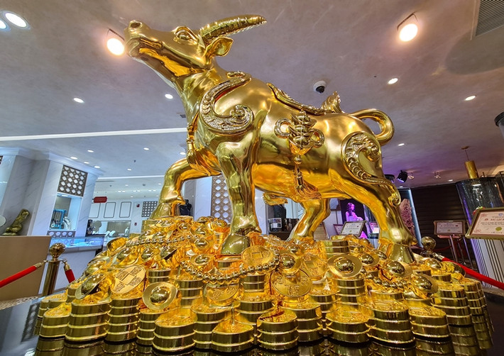 Trâu vàng có tên gọi Kim Ngưu Vương Bảo của Tập đoàn vàng bạc đá quý DOJI đang được trưng bày tại tầng 5 tòa nhà DOJI Tower (số 5 Lê Duẩn, Quận Ba Đình, Hà Nội) để chào đón Ngày vía Thần Tài (mùng 10/1 Âm lịch).