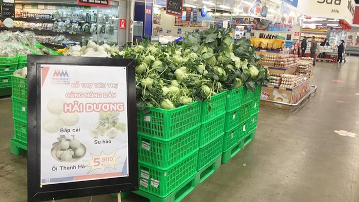 Hệ thống siêu thị MM Mega Market (Hà Nội) cũng tham gia "giải cứu" nông sản Hải Dương. Giá bán các sản phẩm nông sản theo tiêu chí "bán hàng không lợi nhuận". Chuyến hàng "giải cứu" đầu tiên được nhập bán tại hệ thống MM Mega Market từ ngày 22/2 với giá chỉ 5.900 đồng/kg.