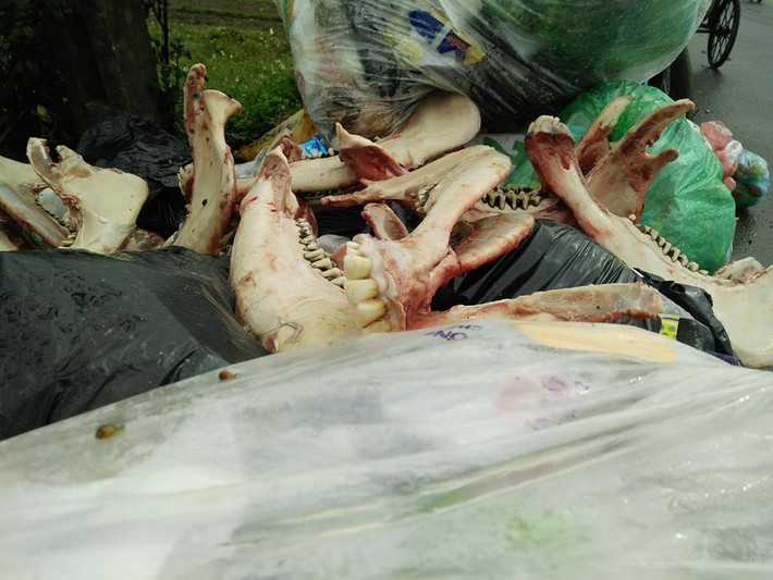 Đủ thứ rác thải, thậm chí cả xương động vật vứt dọc đường dẫn vào bàn rác Nam Sơn thuộc địa bàn xã Hồng Kỳ.