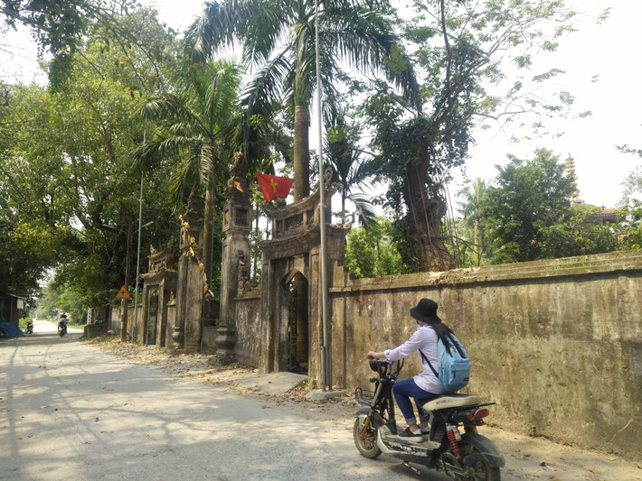 Cây sưa đỏ từng được định giá 100 tỷ đồng nằm trong khuôn viên đình thôn Phụ Chính (xã Hòa Chính, huyện Chương Mỹ, TP Hà Nội), có tuổi đời trên 130 năm.