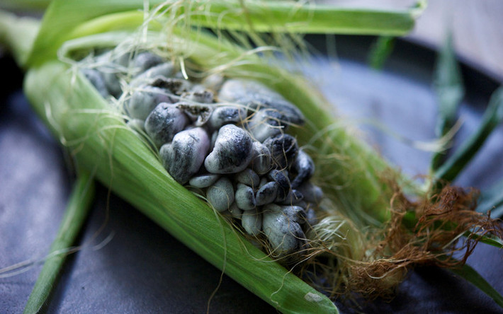 Huitlacoche: Đây là tên một loại bệnh khiến nấm mọc trên ngô. Hạt ngô mọc nấm được dùng làm bánh mì tortilla hay nấu súp. Ảnh: Glutton For Life.