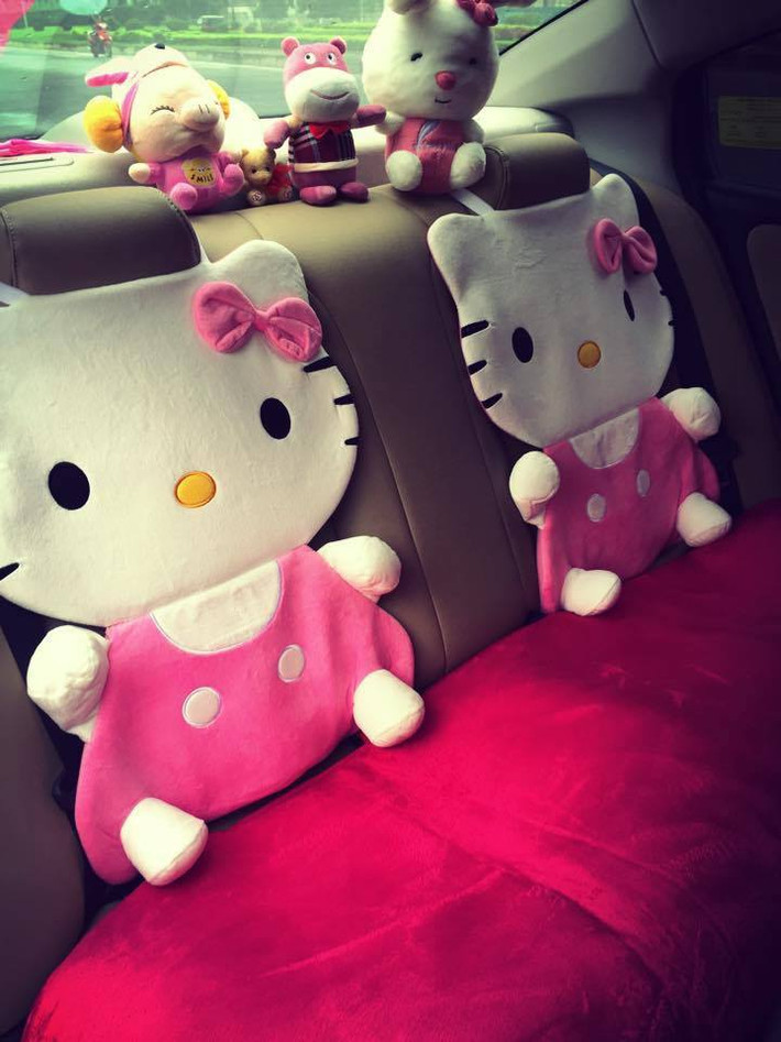 Chủ sở hữu của chiếc xe ô tô đáng yêu là Mai Thị Hằng, sinh năm 1992. Mai Thị Hằng đang sống và làm việc cùng gia đình tại Bỉm Sơn, Thanh Hóa. Chiếc xe là món quà bố mẹ Hằng tặng con gái vào năm ngoái khi Hằng chính thức đi làm.