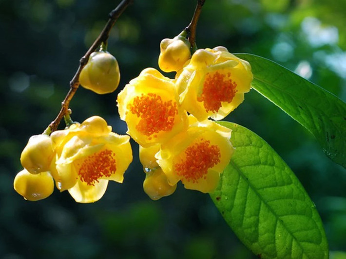 Những người này chỉ cần chăm chỉ, kiên nhẫn thì cuộc sống càng về cuối năm càng được cải thiện, tài vận hanh thông, sự nghiệp phát triển, thành công đến liên tục.