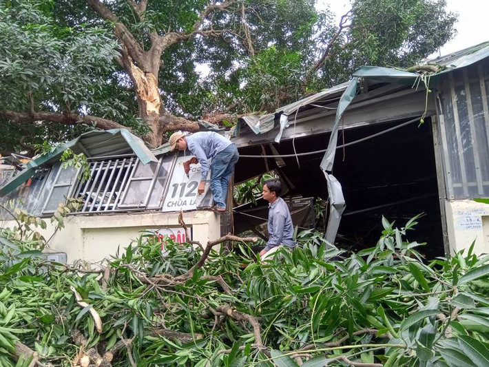 Bà Nghiêm Thị Thanh (nhân chứng) kể lại: "Lúc đó tôi đang ngồi trong cửa hàng thì nghe thấy tiếng rắc rắc rồi tiếng cành cây đổ rầm xuống quán. Trong quán lúc ấy có một số khách và nhân viên, mọi người đều chạy tán loạn ra đường, người thì chui gầm bàn để tránh cành cây đổ trúng".