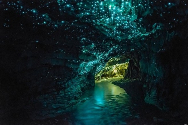 Hang Waitomo, King Country, New Zealand: Hang động kỳ diệu này chính là điểm nhấn ấn tượng của đất nước New Zealand xinh đẹp. Bên trên là một ngôi làng nhỏ, trong khi bên dưới là một hệ thống hang động hơn 2 triệu năm tuổi. Ảnh: Placestoseeinyourlifetime.
