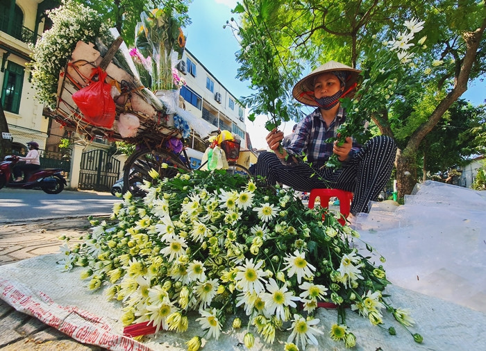Các tiểu thương cho biết, năm nay, giá của hoa cúc họa mi đầu mùa đang dao động từ 80.000 - 100.000 đồng/bó, so với mọi năm cao hơn một chút. Nếu bó nhỏ, sẽ được bán với giá từ 20.000 - 30.000 đồng/bó.
