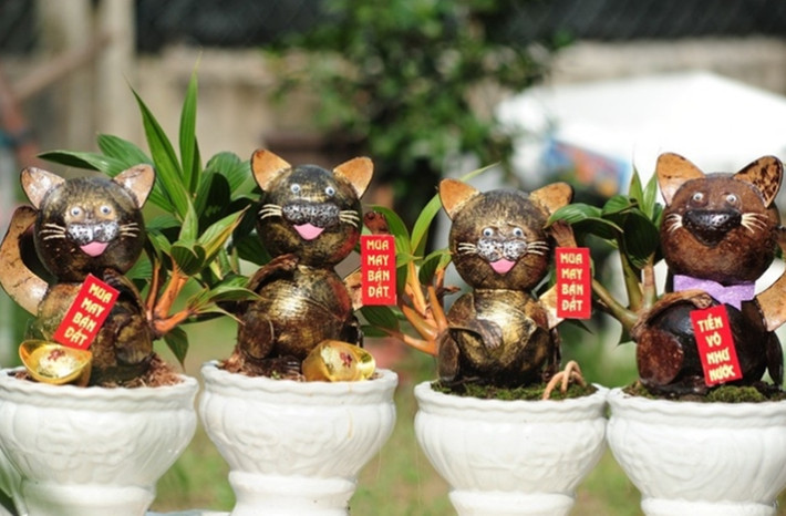 Những loại dừa như xiêm xanh, xiêm đỏ, dừa sọc, dừa đột biến, dừa lá cẩm thạch đều có thể làm bonsai nhưng thị trường chuộng nhất là dừa xiêm hồng và dừa Tam Quan do lá có màu rất đẹp.