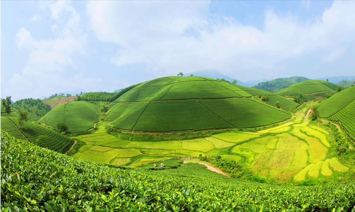 Tới đây, du khách có thể tận mắt chiêm ngưỡng khu rừng chò chỉ đẹp nhất miền Bắc. Thiên nhiên ở đây vẫn giữ được nguyên vẻ hoang sơ, hoang dã, khí hậu quanh năm mát mẻ là điểm đến lý tưởng của du khách ưa khám phá, nghỉ dưỡng và tìm hiểu nét văn hóa độc đáo của đồng bào dân tộc thiểu số. Ảnh: Dulichphutho.com