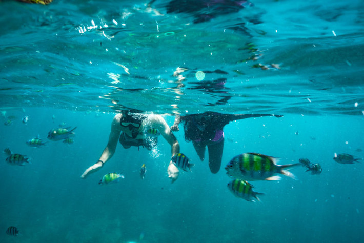 Nếu muốn trải nghiệm cảm giác du lịch bụi, bạn cũng có thể đi xe bus đến Krabi sau đó đi tàu ra đảo. Thế nhưng cách đi xe bus cũng sẽ không tiết kiệm hơn so với đi máy bay là bao.