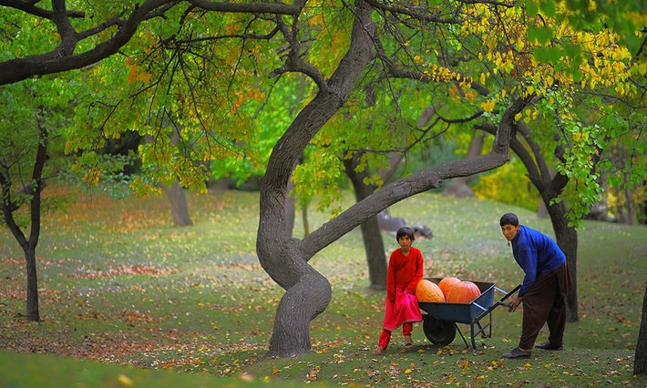 Việc lao động, đi bộ những quãng đường dài hàng ngày giúp người Hunza cải thiện trương lực cơ và sức khỏe của xương, ngăn ngừa chấn thương.
