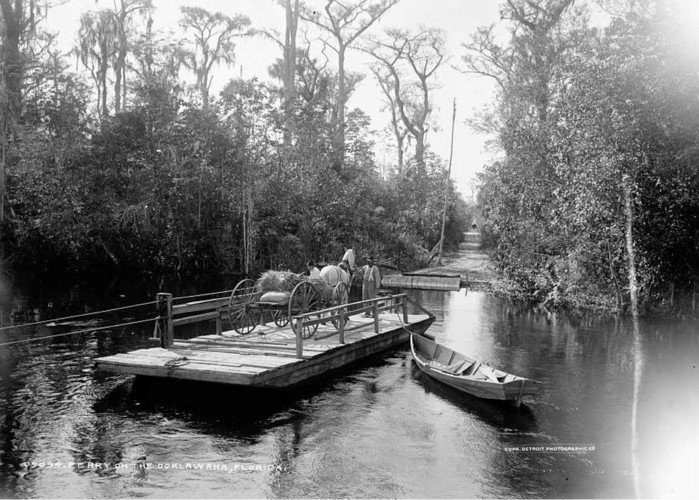 Một chiếc xe ngựa qua sông Ocklawaha, bang Florida bằng phà.