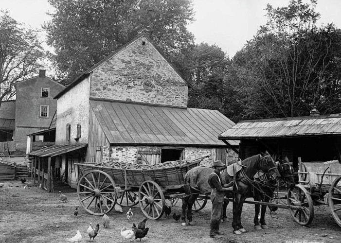 Quang cảnh ở một trang trại tại Germantown, bang Maryland, Mỹ năm 1899.
