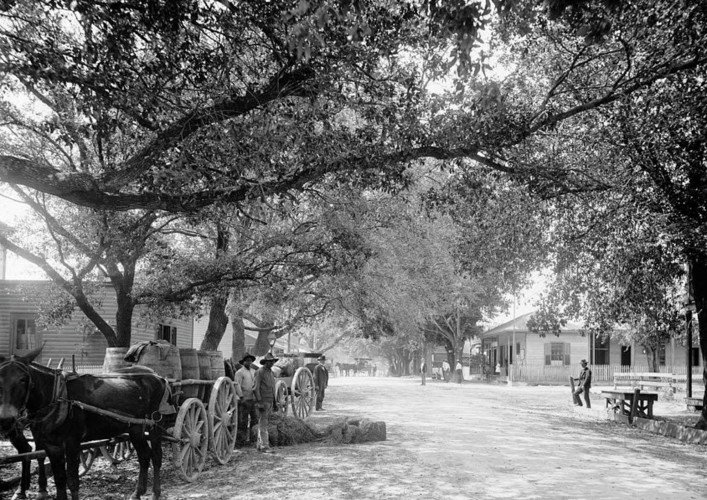 Những con đường yên bình và vắng vẻ ở Ocean Springs, bang Mississippi năm 1899 khi ô tô còn chưa ra đời.