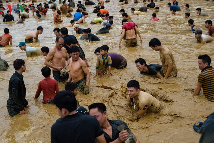 Hàng trăm người không ngại lội bùn lao xuống bắt cá lấy may.